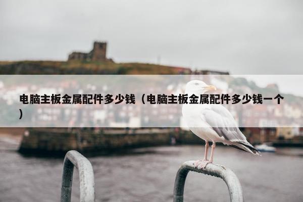 电脑主板金属配件多少钱（电脑主板金属配件多少钱一个）