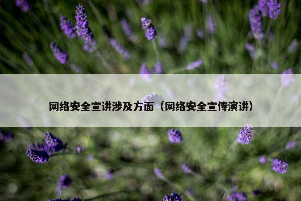 网络安全宣讲涉及方面（网络安全宣传演讲）