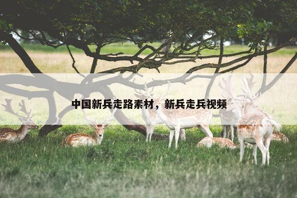 中国新兵走路素材，新兵走兵视频