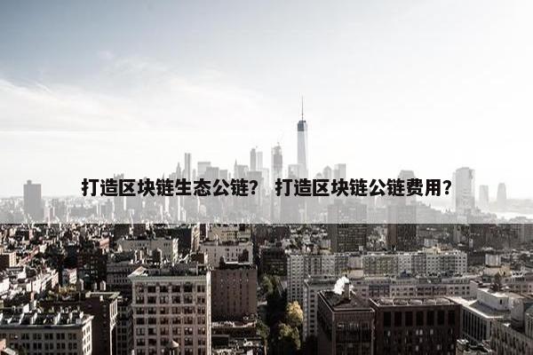 打造区块链生态公链？ 打造区块链公链费用？