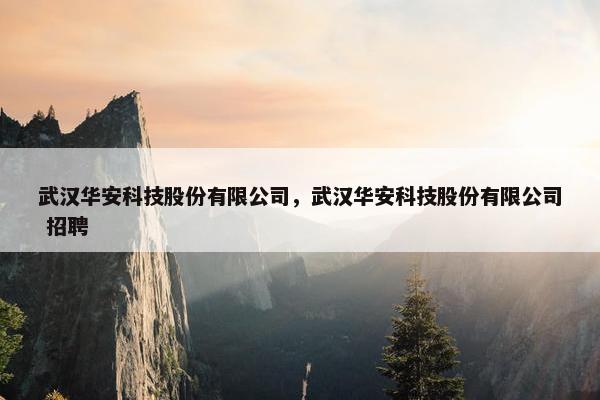 武汉华安科技股份有限公司，武汉华安科技股份有限公司 招聘