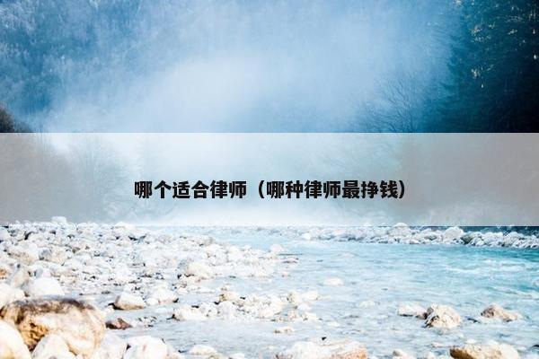 哪个适合律师（哪种律师最挣钱）