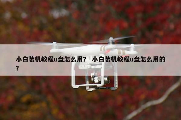 小白装机教程u盘怎么用？ 小白装机教程u盘怎么用的？