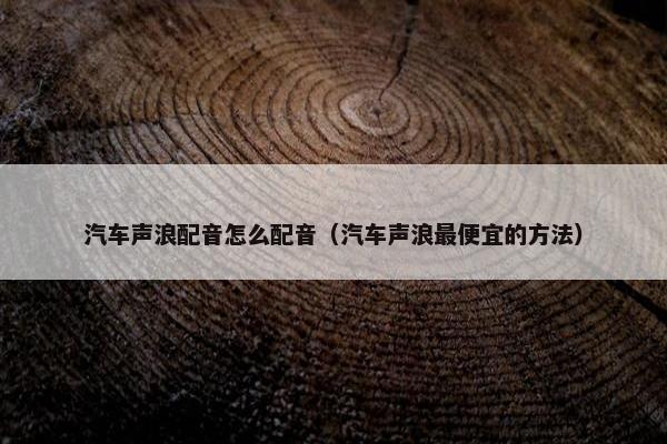汽车声浪配音怎么配音（汽车声浪最便宜的方法）
