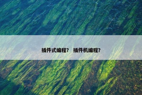 插件式编程？ 插件机编程？