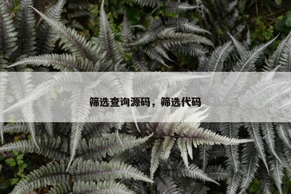 筛选查询源码，筛选代码