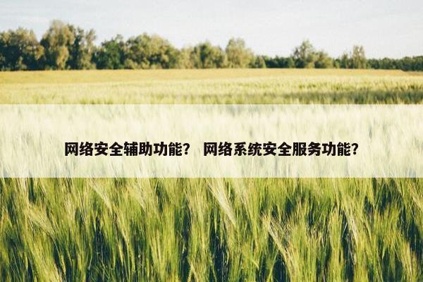 网络安全辅助功能？ 网络系统安全服务功能？