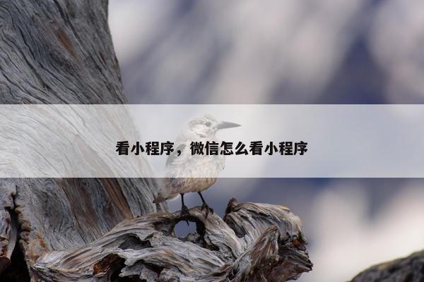 看小程序，微信怎么看小程序