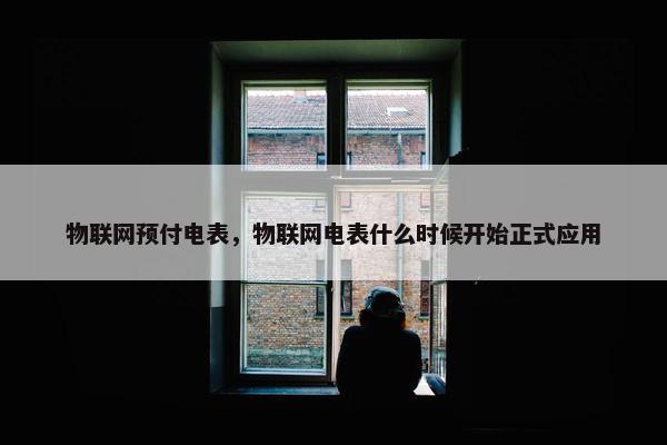 物联网预付电表，物联网电表什么时候开始正式应用