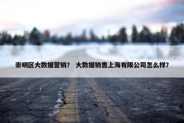 崇明区大数据营销？ 大数据销售上海有限公司怎么样？