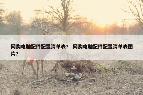 网购电脑配件配置清单表？ 网购电脑配件配置清单表图片？