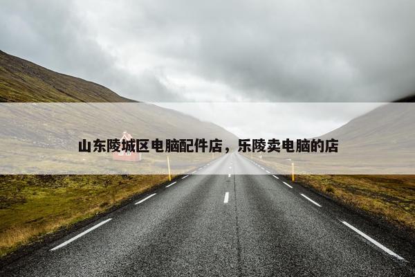 山东陵城区电脑配件店，乐陵卖电脑的店