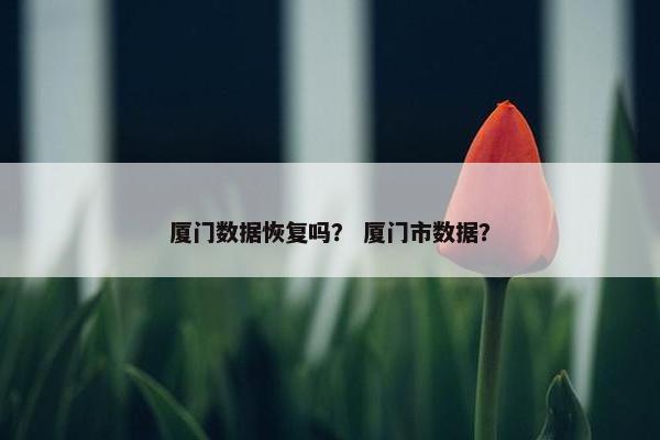 厦门数据恢复吗？ 厦门市数据？