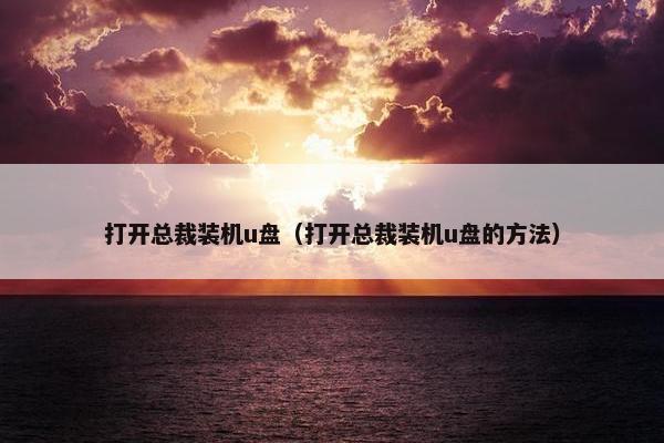 打开总裁装机u盘（打开总裁装机u盘的方法）