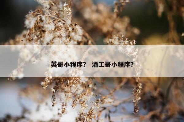 英哥小程序？ 酒工哥小程序？