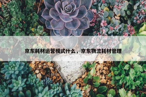 京东耗材运营模式什么，京东物流耗材管理