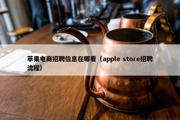 苹果电商招聘信息在哪看（apple store招聘流程）