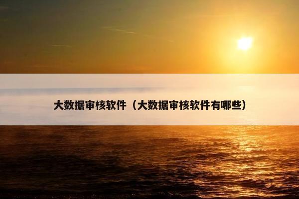 大数据审核软件（大数据审核软件有哪些）
