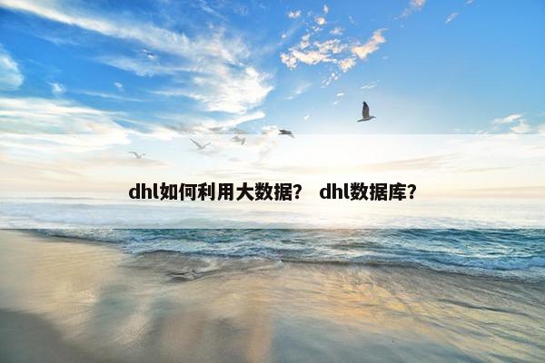 dhl如何利用大数据？ dhl数据库？