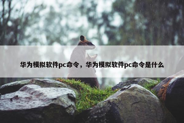 华为模拟软件pc命令，华为模拟软件pc命令是什么