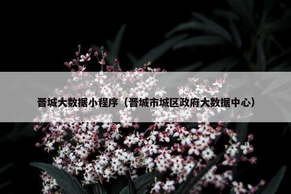 晋城大数据小程序（晋城市城区政府大数据中心）