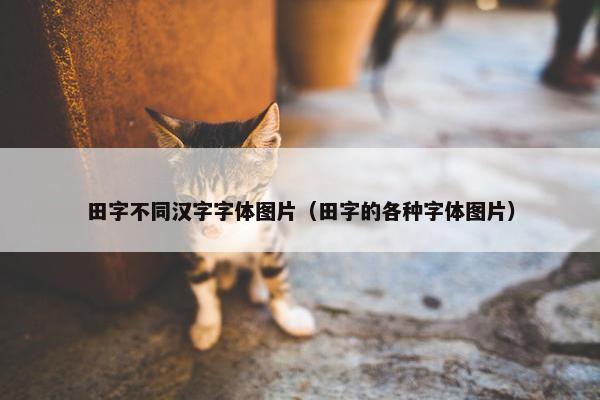 田字不同汉字字体图片（田字的各种字体图片）