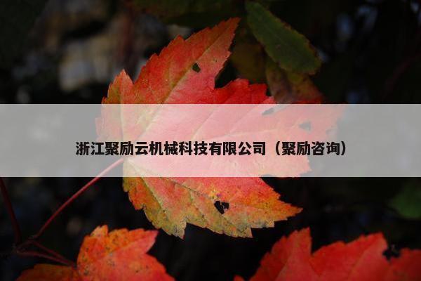 浙江聚励云机械科技有限公司（聚励咨询）