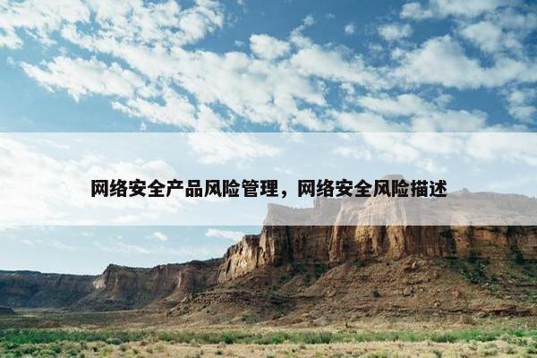 网络安全产品风险管理，网络安全风险描述