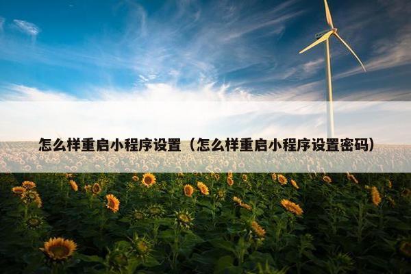 怎么样重启小程序设置（怎么样重启小程序设置密码）