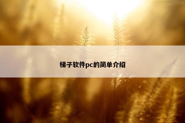 梯子软件pc的简单介绍