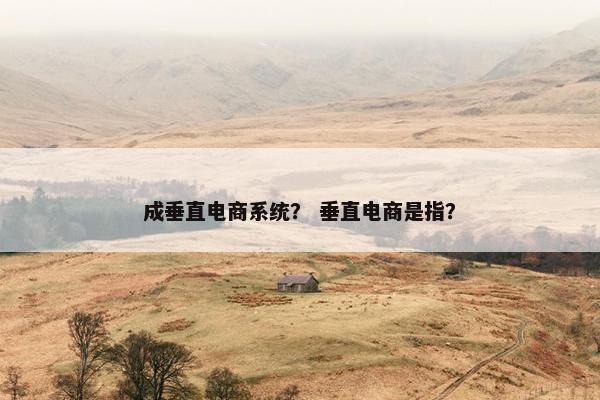 成垂直电商系统？ 垂直电商是指？