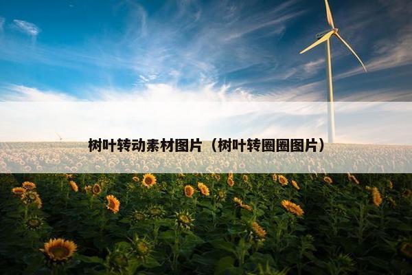 树叶转动素材图片（树叶转圈圈图片）