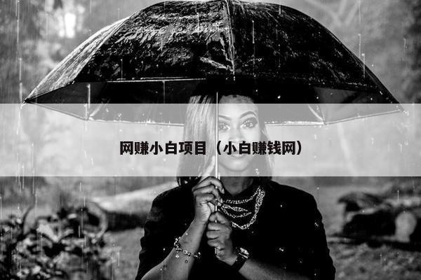 网赚小白项目（小白赚钱网）