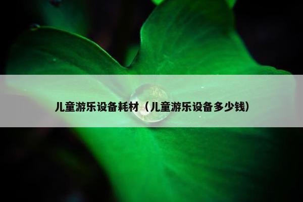 儿童游乐设备耗材（儿童游乐设备多少钱）