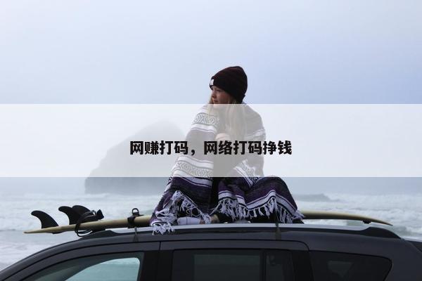 网赚打码，网络打码挣钱