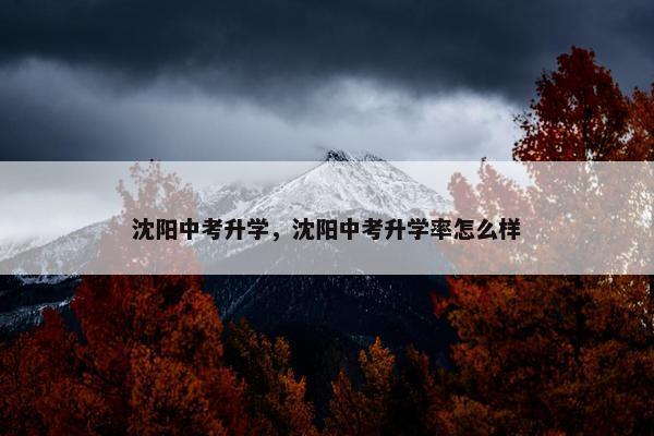 沈阳中考升学，沈阳中考升学率怎么样