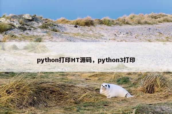 python打印HT源码，python3打印