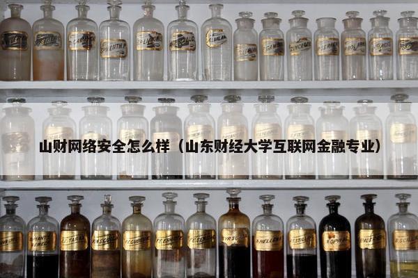 山财网络安全怎么样（山东财经大学互联网金融专业）