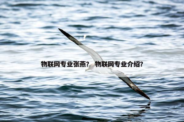 物联网专业张燕？ 物联网专业介绍？