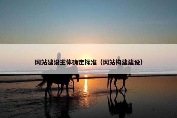 网站建设主体确定标准（网站构建建设）