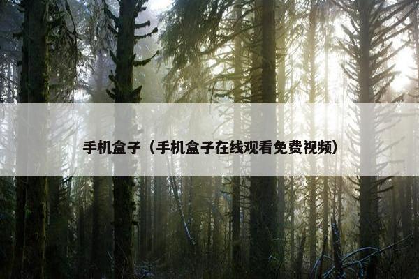 手机盒子（手机盒子在线观看免费视频）