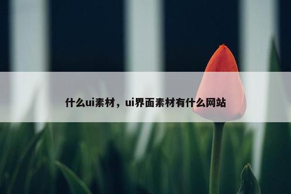 什么ui素材，ui界面素材有什么网站