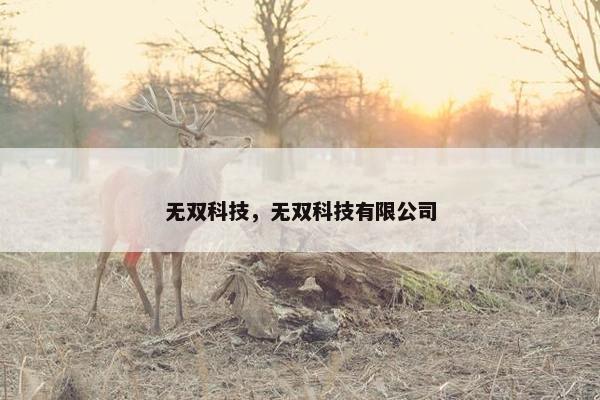 无双科技，无双科技有限公司