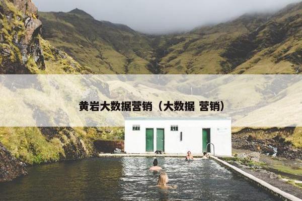 黄岩大数据营销（大数据 营销）