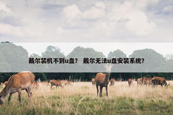 戴尔装机不到u盘？ 戴尔无法u盘安装系统？