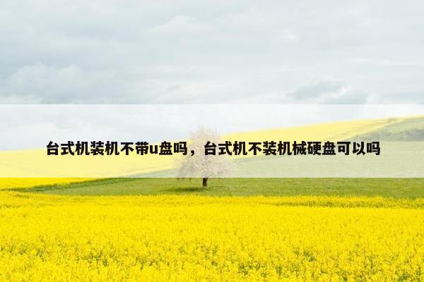台式机装机不带u盘吗，台式机不装机械硬盘可以吗