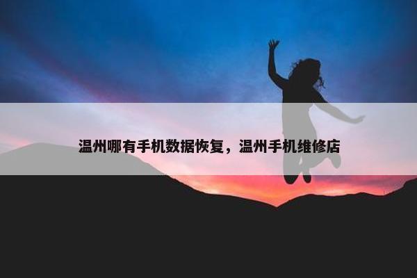 温州哪有手机数据恢复，温州手机维修店