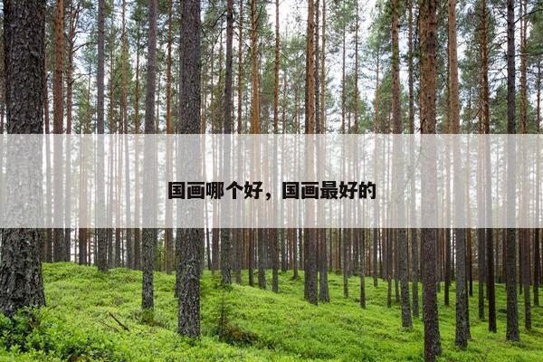国画哪个好，国画最好的