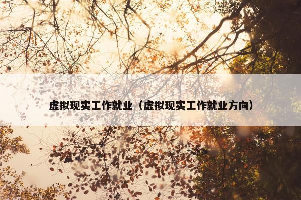 虚拟现实工作就业（虚拟现实工作就业方向）
