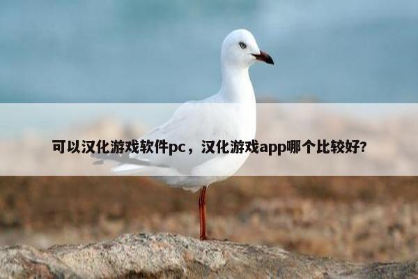 可以汉化游戏软件pc，汉化游戏app哪个比较好?